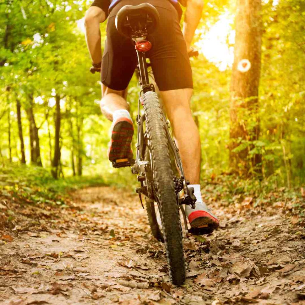 Las mejores rutas en bici en Alcalá de la Selva, Aragón | virgen de la vega 2 Las mejores rutas en bici en Alcalá de la Selva