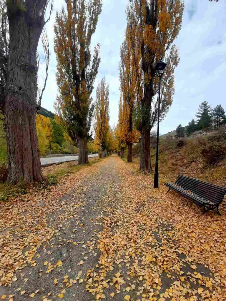 senderismo en alcalá de la selva