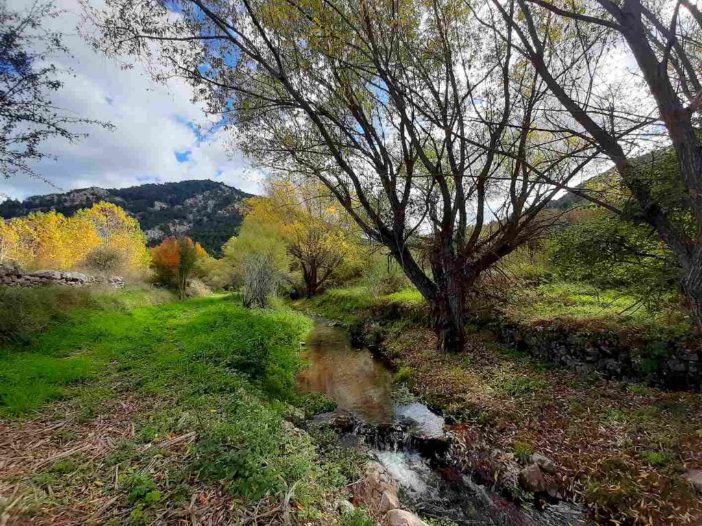 EL TIEMPO EN ALCALA DE LA SELVA